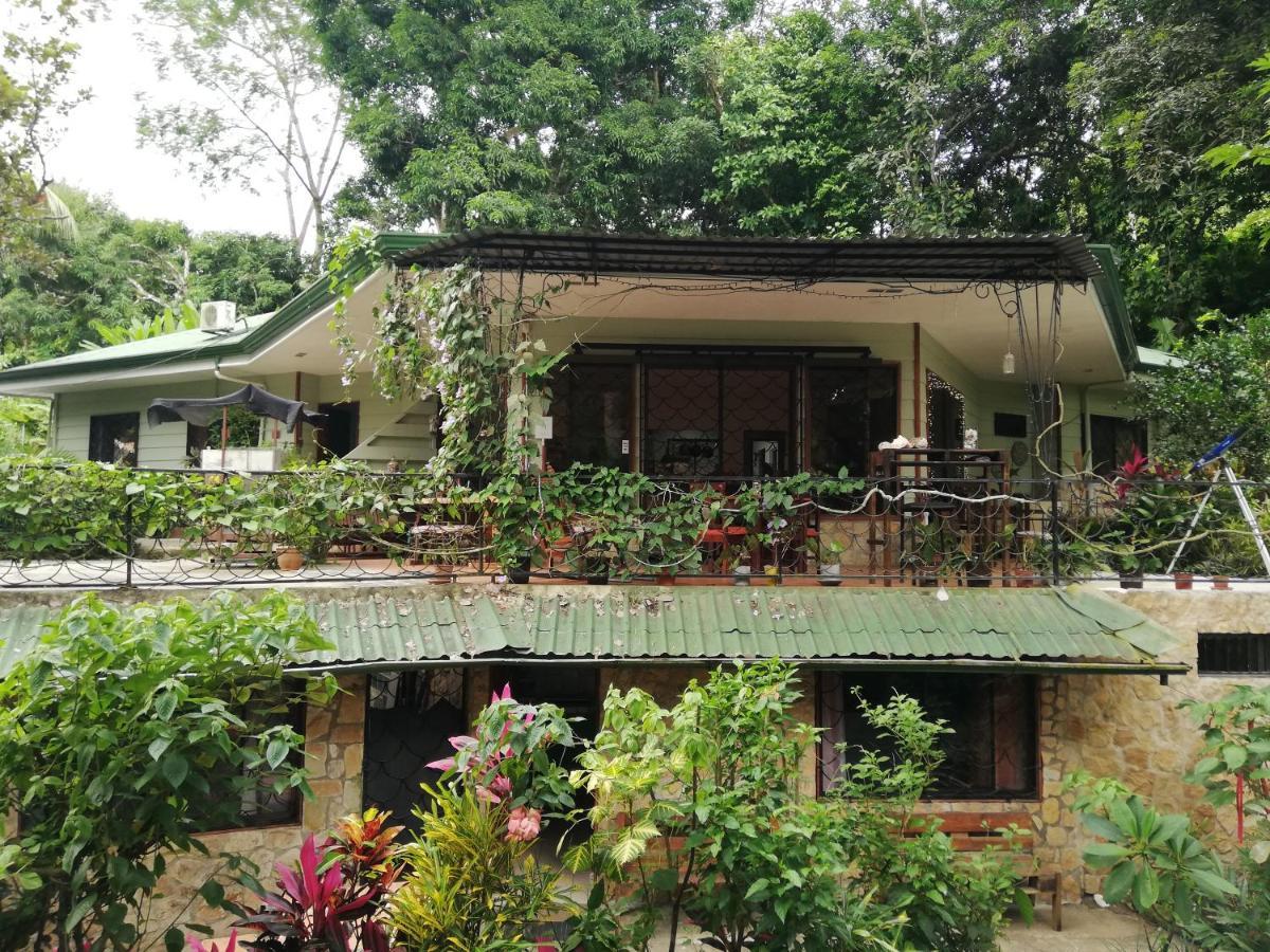 La Montanita Lodge Manuel Antonio Luaran gambar